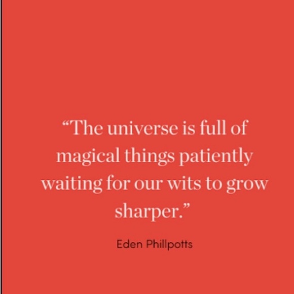 Like this listing to be notified when I go live - Picture 3 of 13